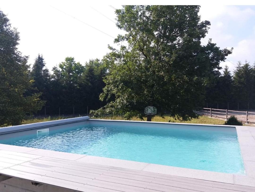 Repos Rouge-Plaisir Au Milieu Des Chevaux Apartment Kembs Bagian luar foto
