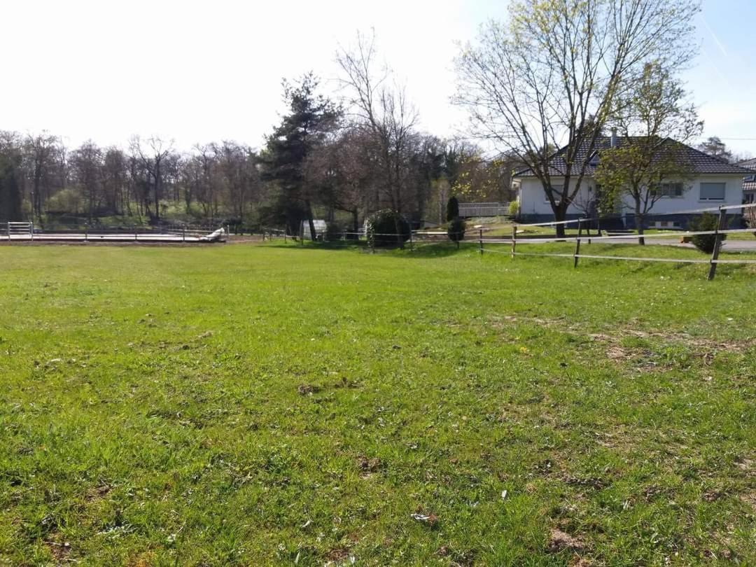 Repos Rouge-Plaisir Au Milieu Des Chevaux Apartment Kembs Bagian luar foto