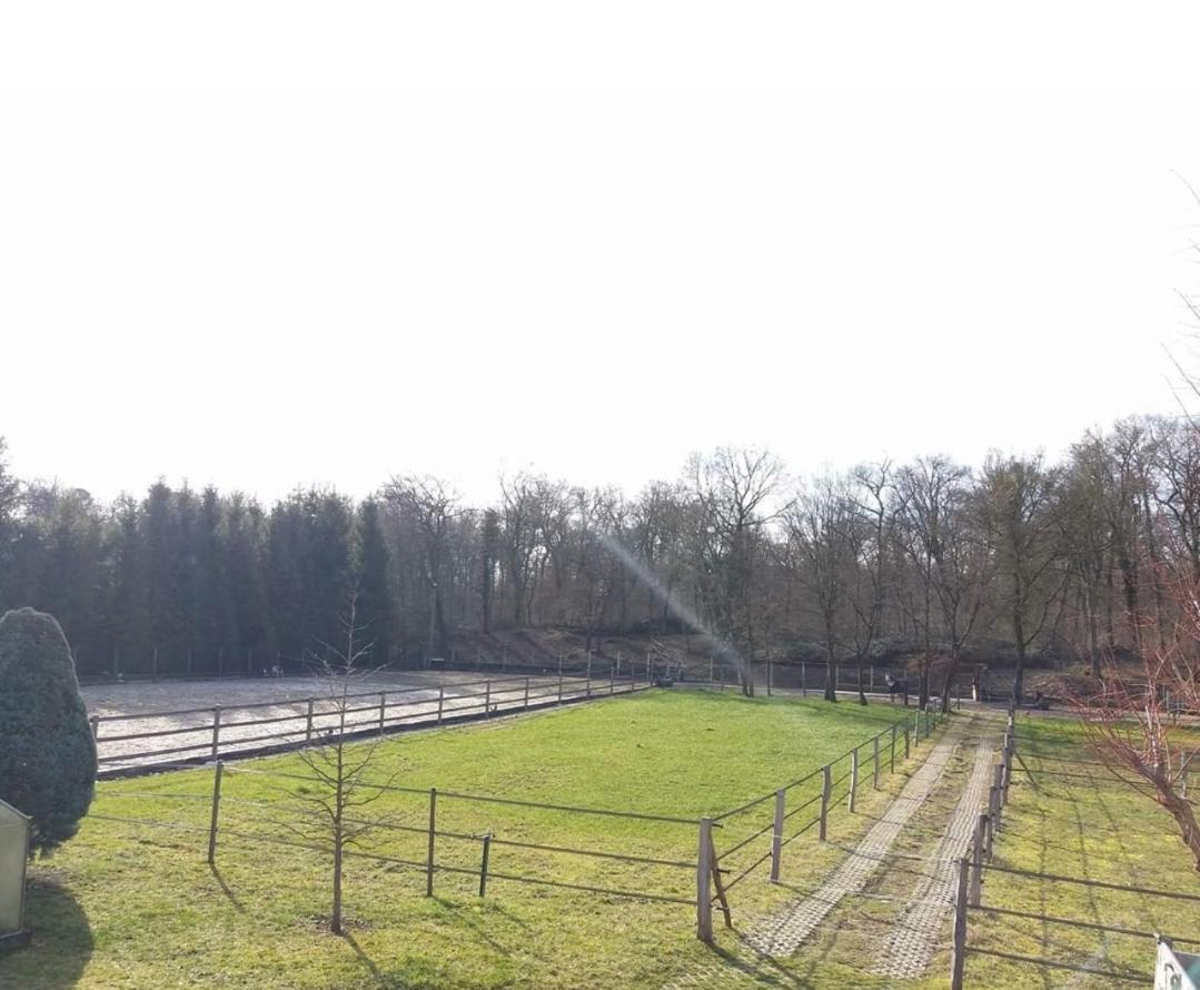 Repos Rouge-Plaisir Au Milieu Des Chevaux Apartment Kembs Bagian luar foto
