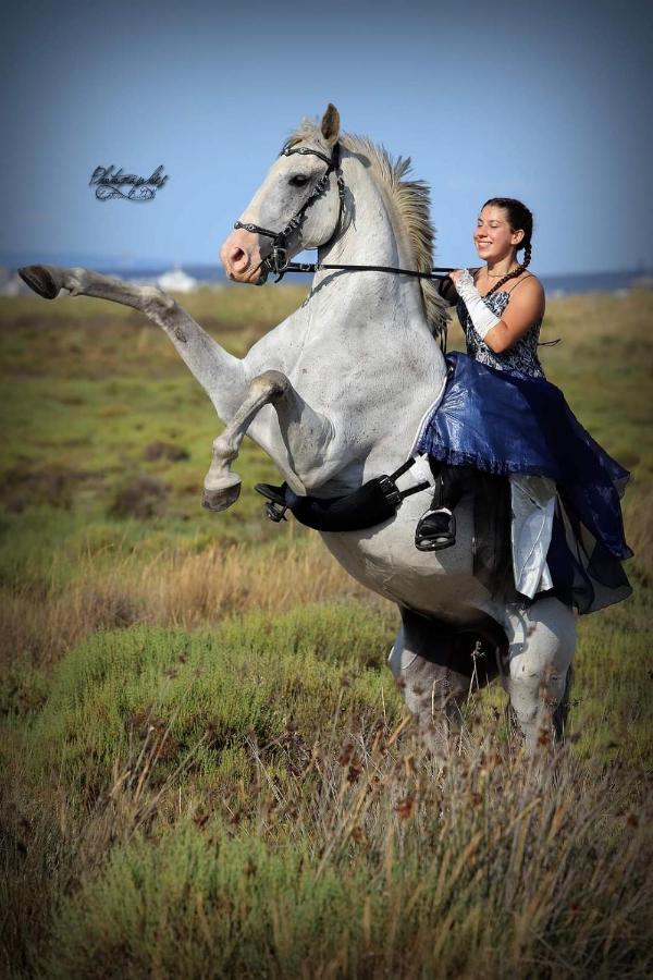 Repos Rouge-Plaisir Au Milieu Des Chevaux Apartment Kembs Bagian luar foto