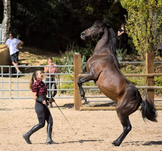 Repos Rouge-Plaisir Au Milieu Des Chevaux Apartment Kembs Bagian luar foto